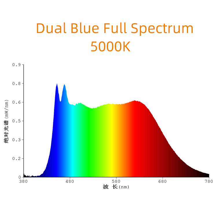 0.5W 2835 SMD 5000K 双蓝光全光谱LED